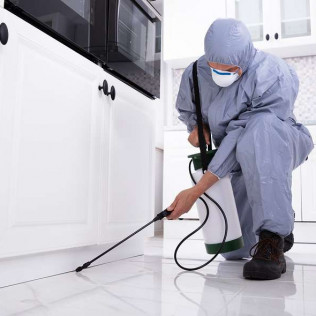 Wills Affordable Pest Service Llc Wilmington De